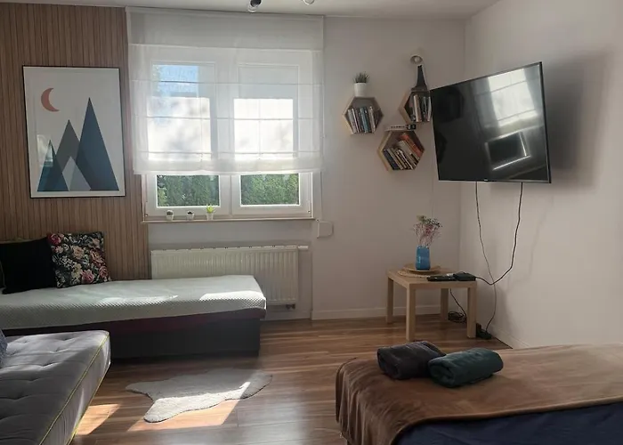 Near Center I Parking Daire Poznan